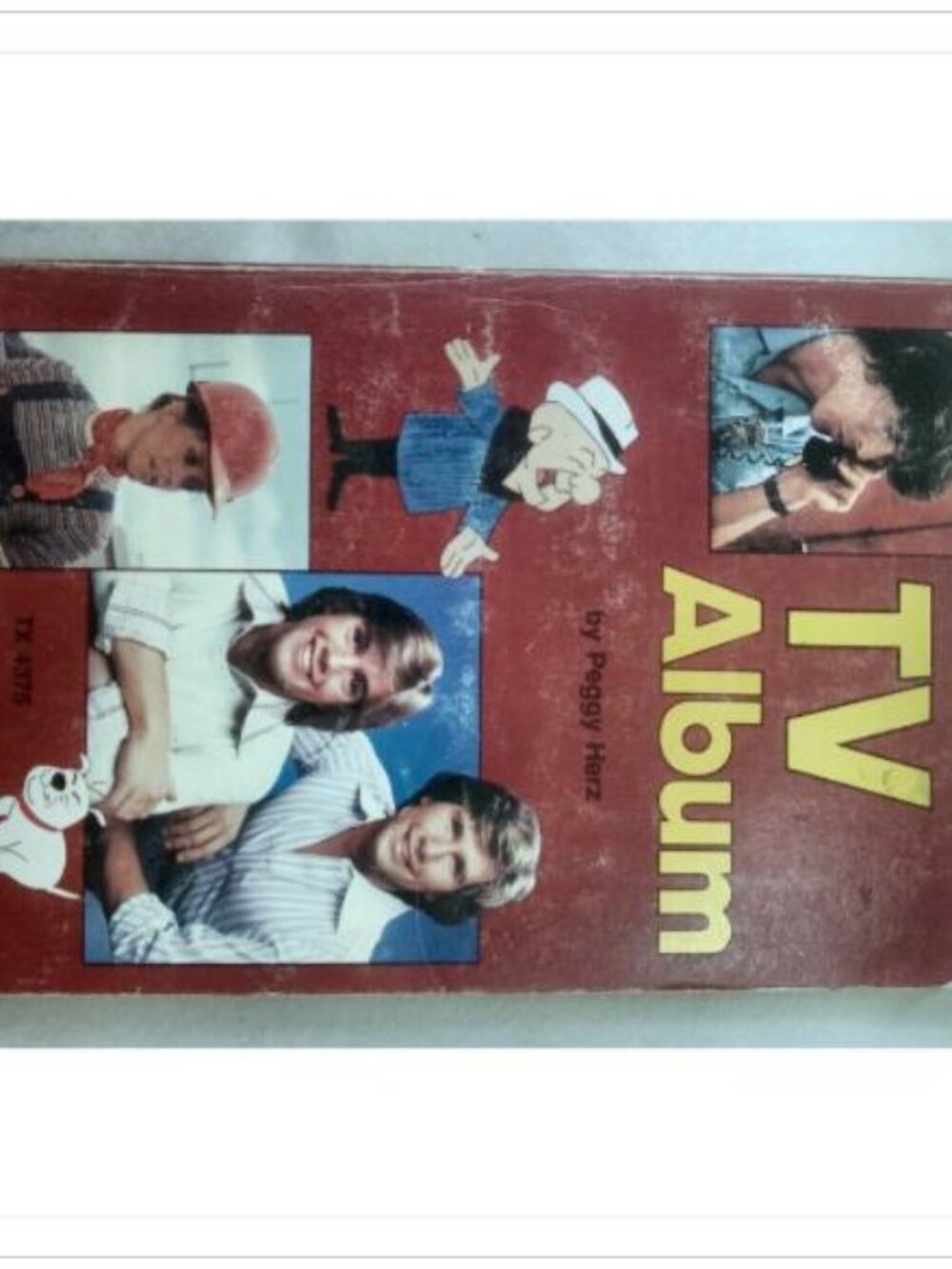 TV Album Peggy Herz 1978 First Edition Paperback Book Vintage Novel Read